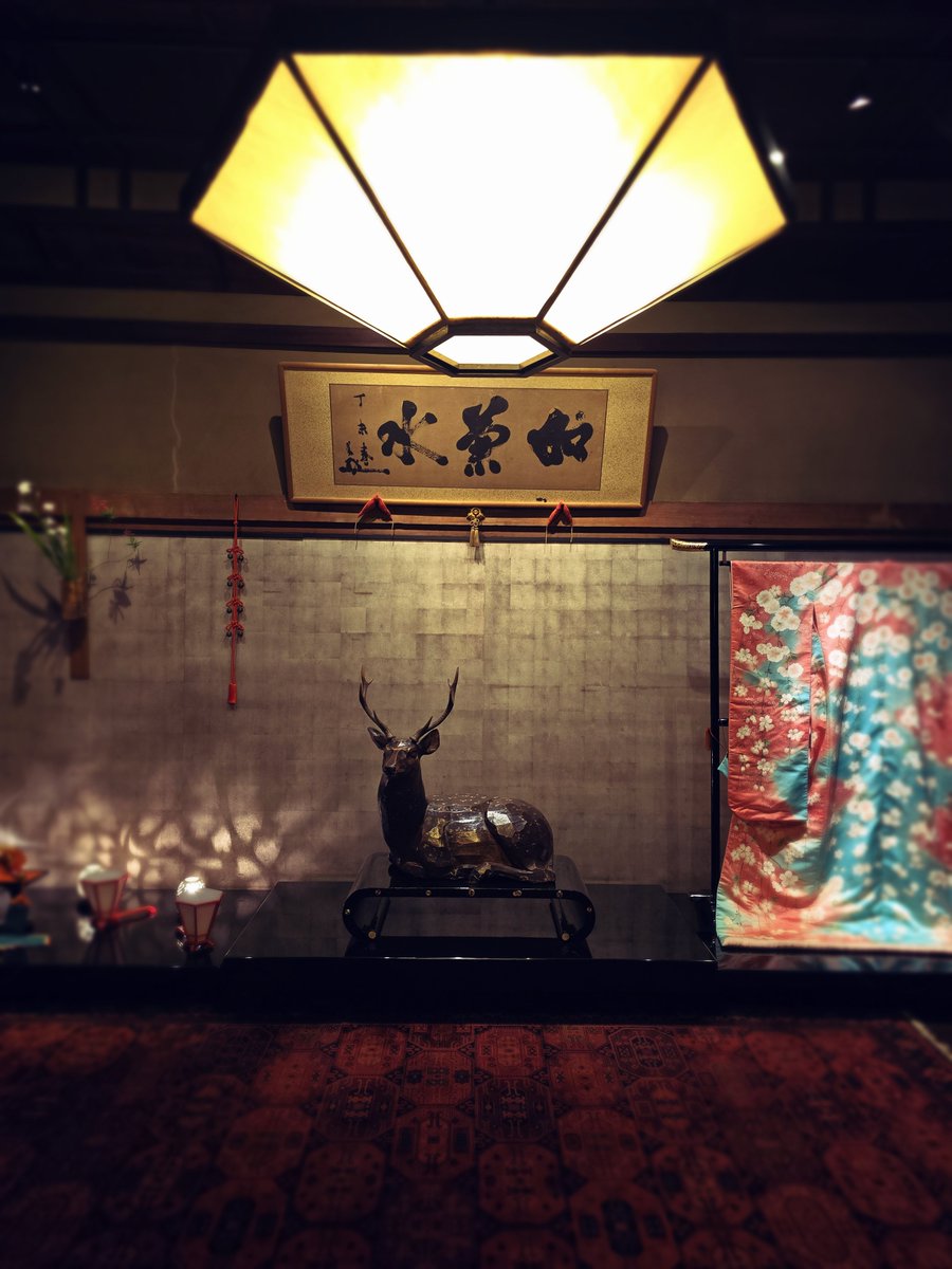 Angelfish tweet media