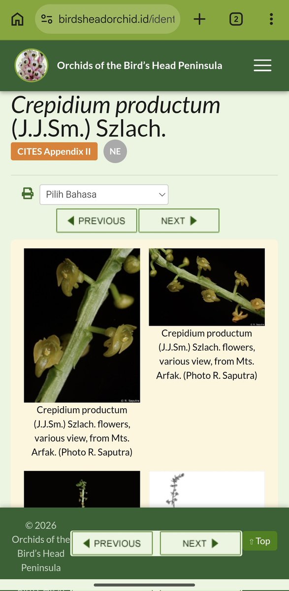 Kålåkêcipå tweet media