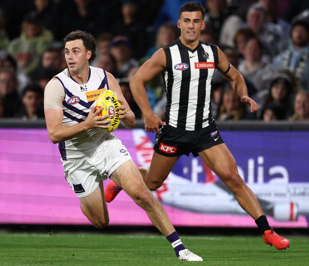 Fremantle Dockers tweet media