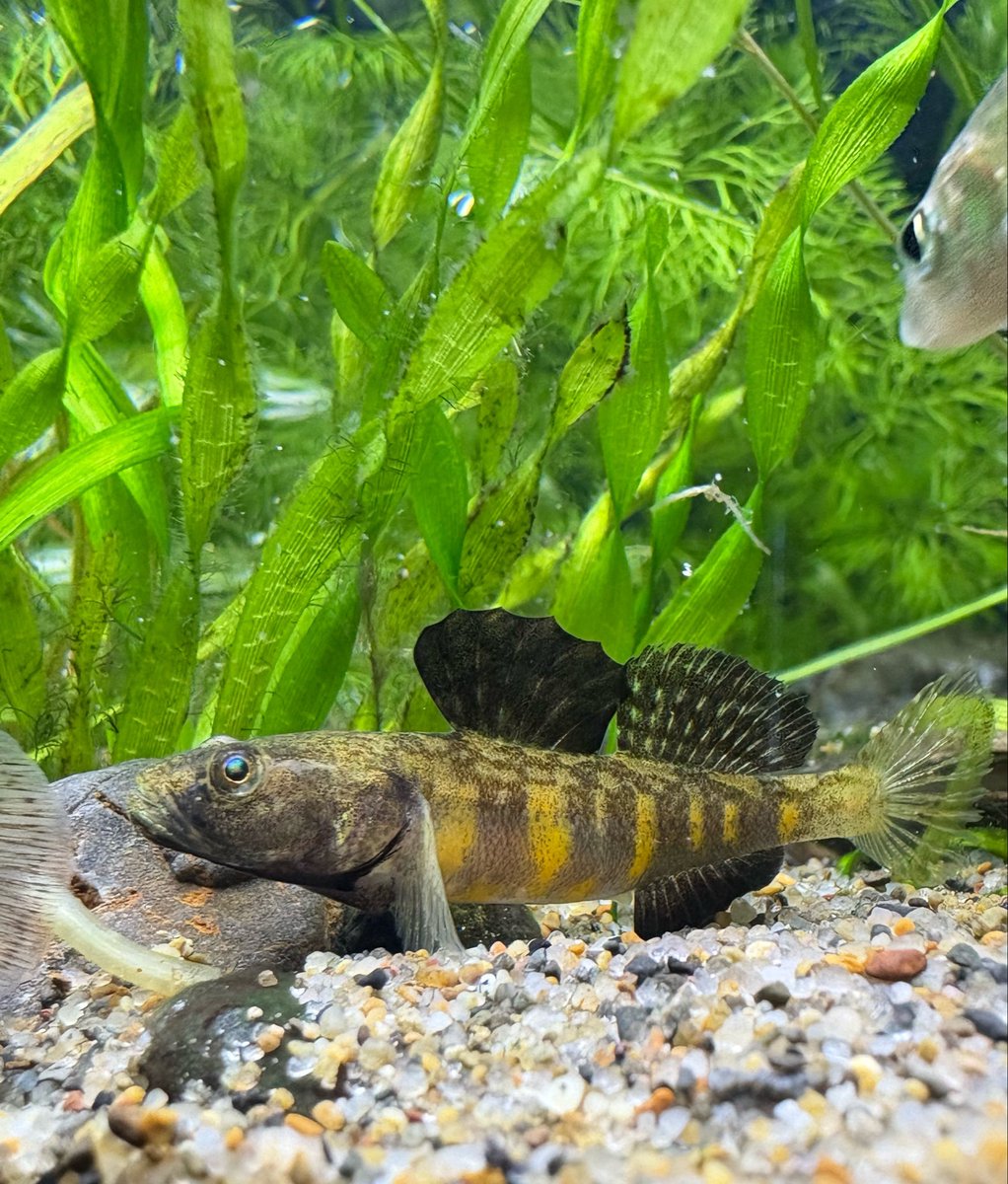 mamimumemo8181's tweet image. 