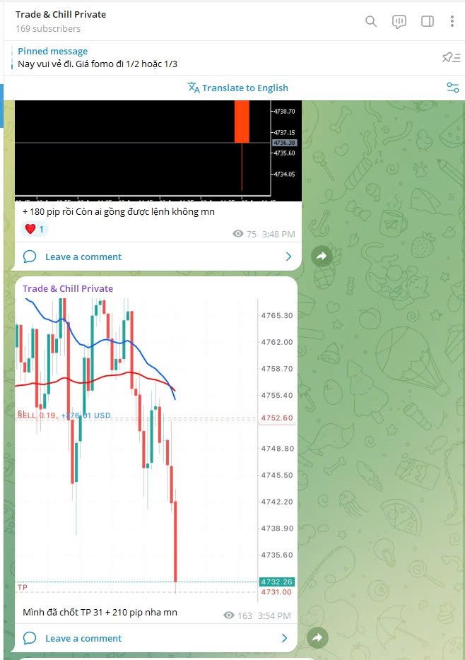 David_Tradingg's tweet image. Trên Live lúc nãy bắt được 2 lệnh Sell chứ mn
Ăn lệnh đầu 200 pip 
Lệnh sau sl 30 pip mà ăn 180 pip nha
#TưDuyTrader #DavidTrading #trader #traderthanhcong #trading #forex #Gold #plangold #Goldforex #priceaction #lamgiaunhanh #traderchuyennghiep #phuongphapgiaodich