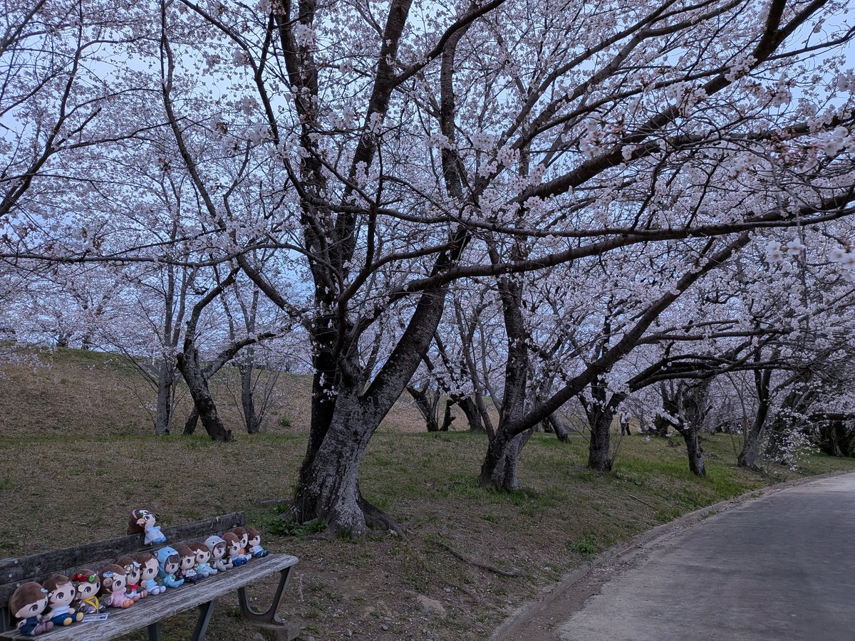 なまこ tweet media