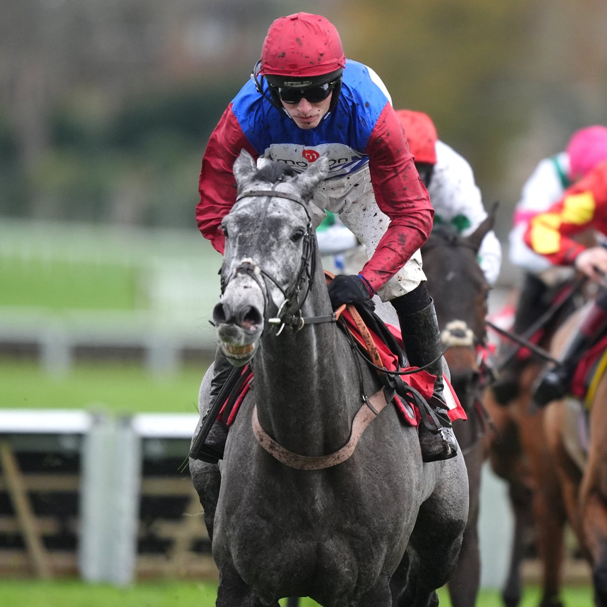 At The Races tweet media