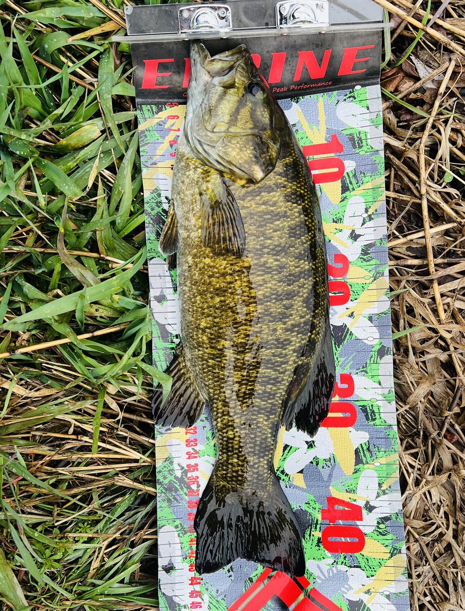 リョウ@R.sato tweet media