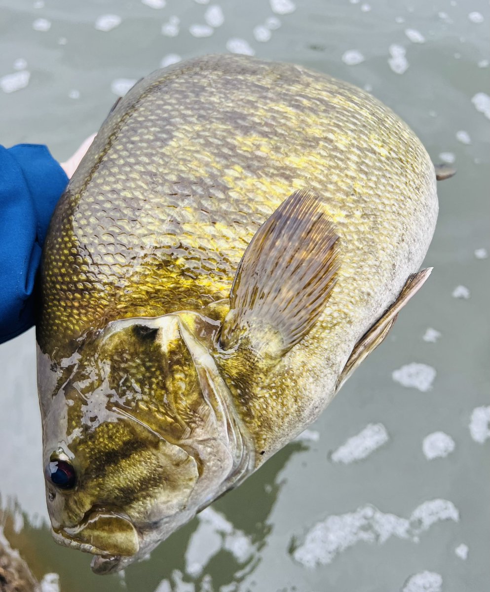 リョウ@R.sato tweet media