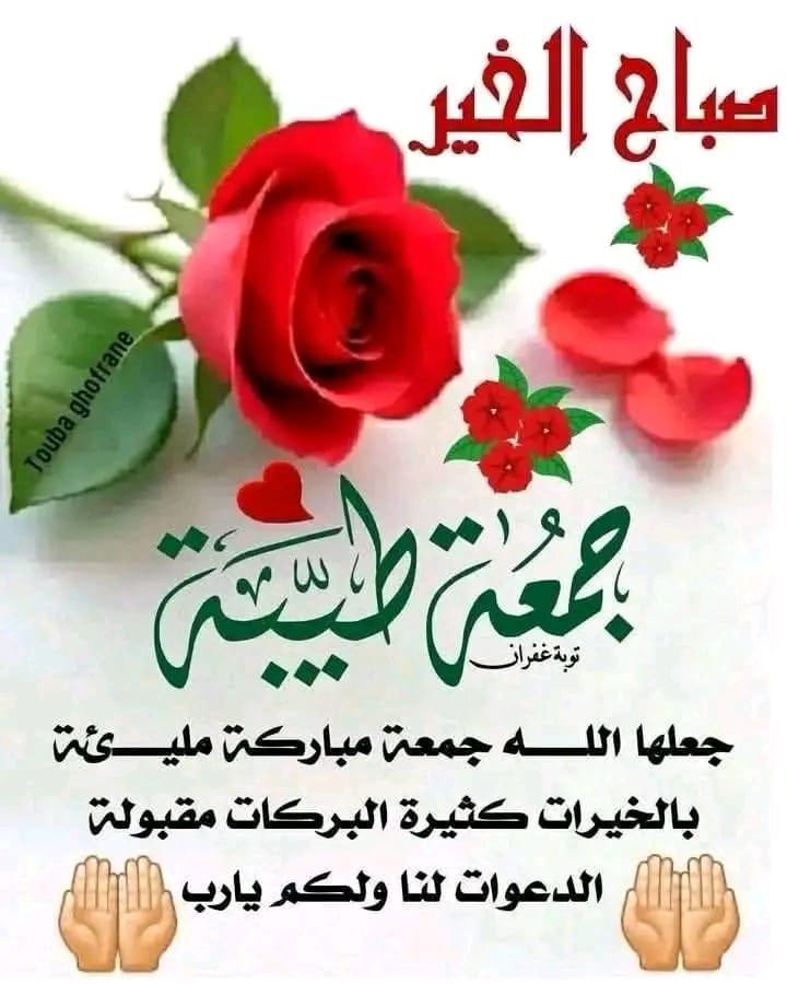 محمد المغيري tweet media