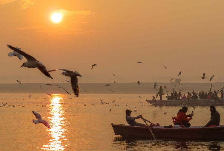 Durga Shanker Mishra IAS tweet media