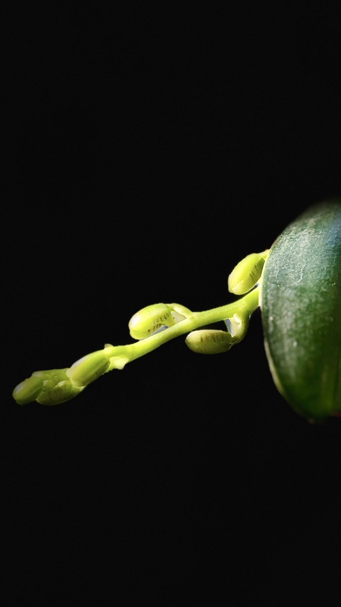 불만많은 애 tweet media