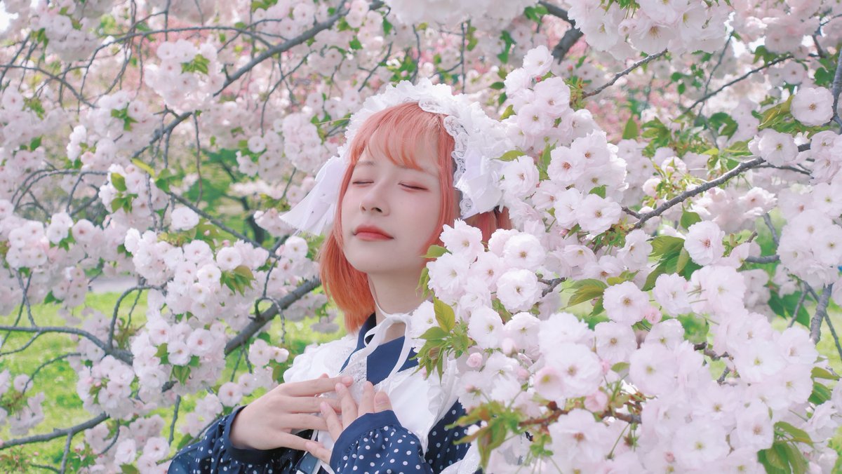 0219_miruru's tweet photo. 【ミルル】春裏々/ 踊ってみた【踊オフ2026】
https://t.co/k0FUVVxqoT

#sm46151948
#ニコニコ動画 
#踊ってみた https://t.co/mupviLoL7z