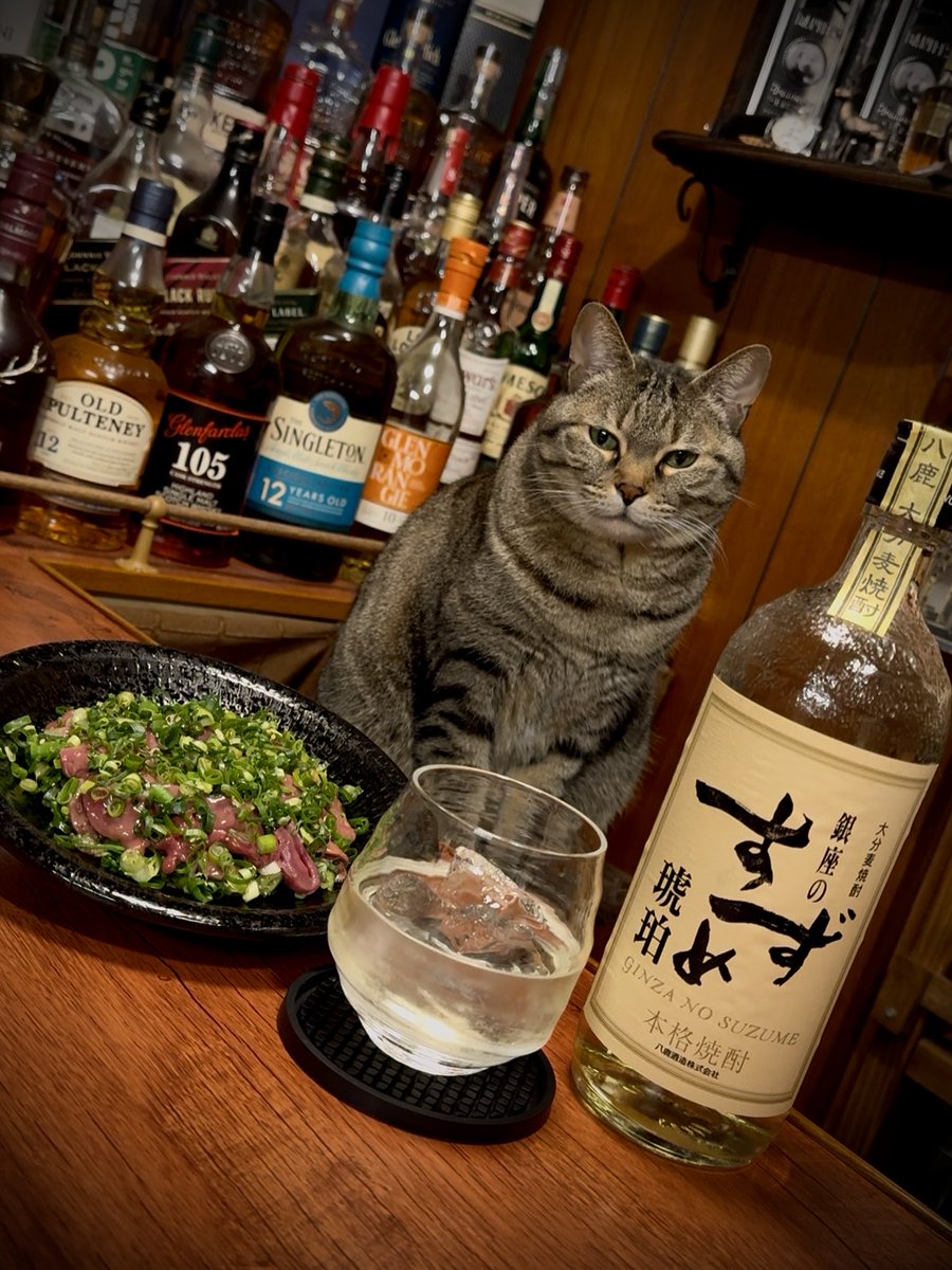 酒ダンディズム tweet media