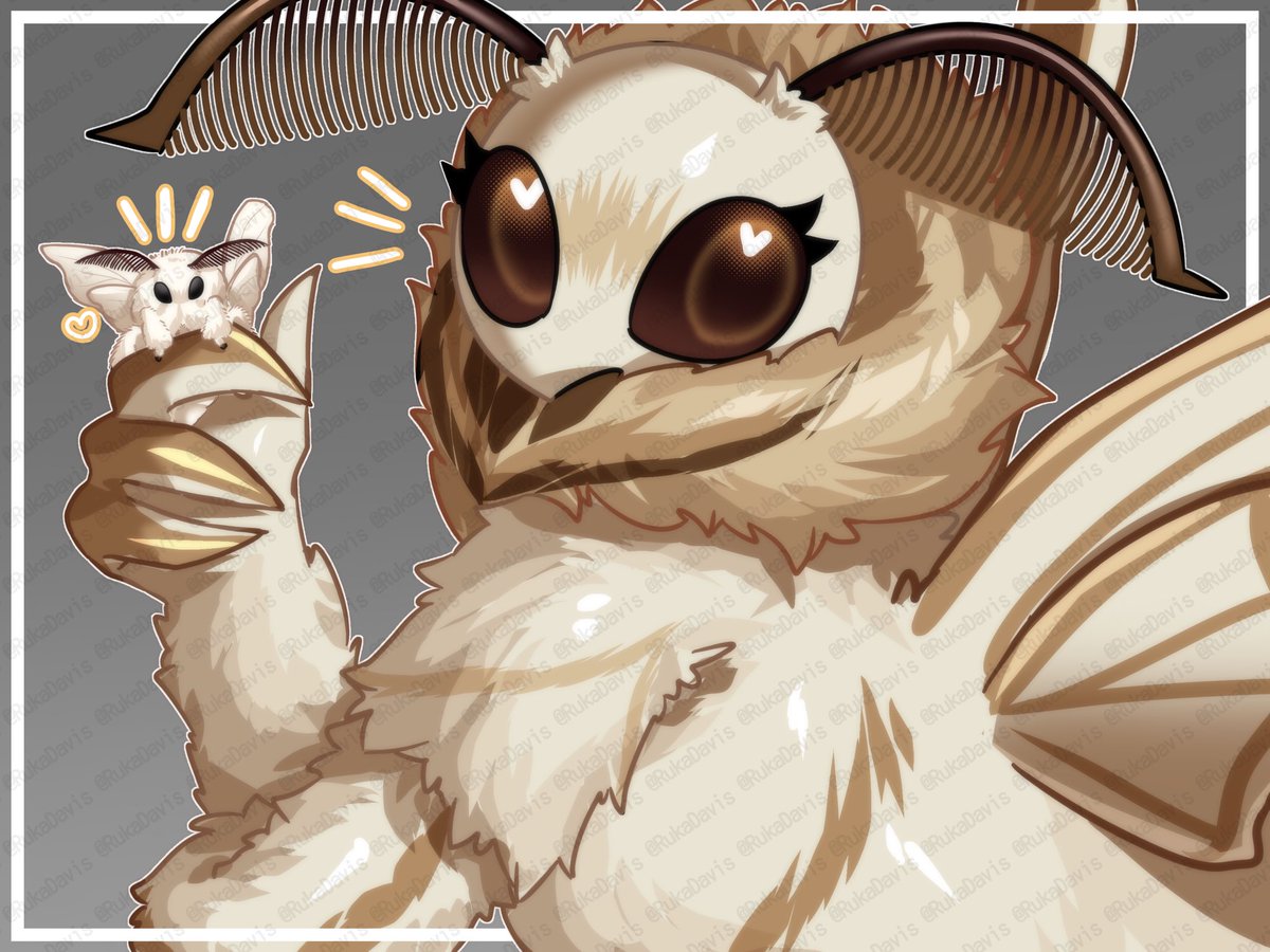 内田るか/Ruka Uchida tweet media