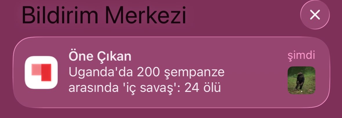 helyeey's tweet photo. artık kötü haber okumak istemiyorum dedikten sonra kahreden bir haber daha https://t.co/No8Il9xle0