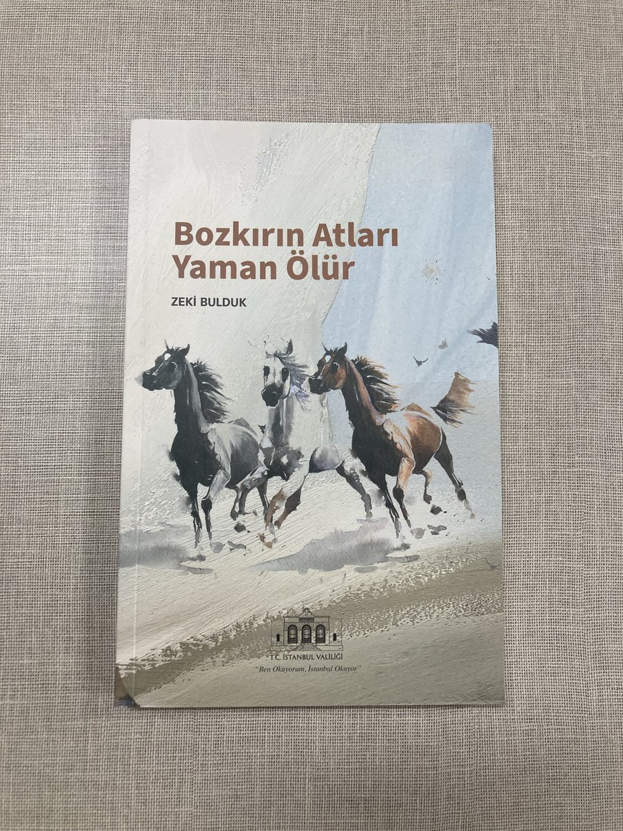 Sarı Mingü tweet media