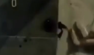 Sentry ⵣ tweet media