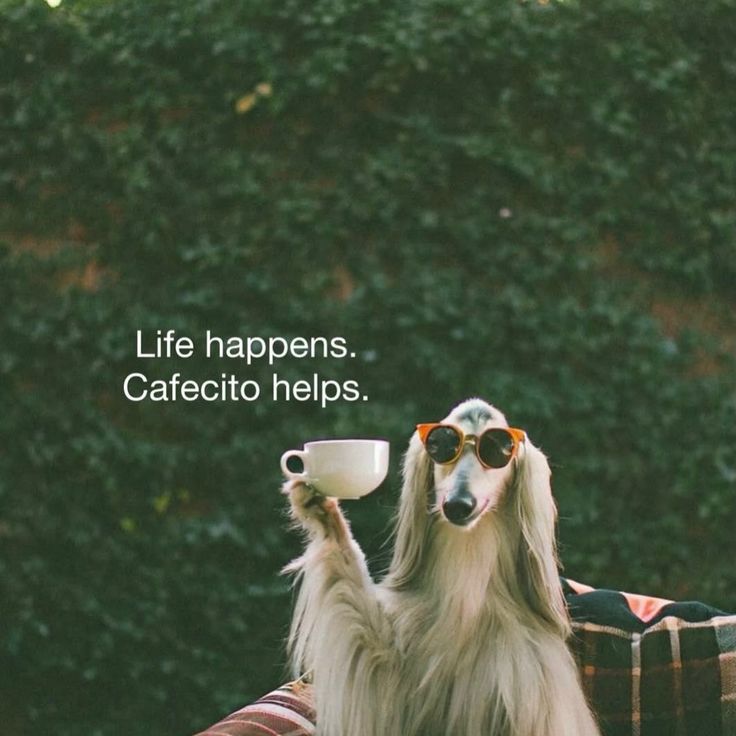 Anushka Gupta tweet media