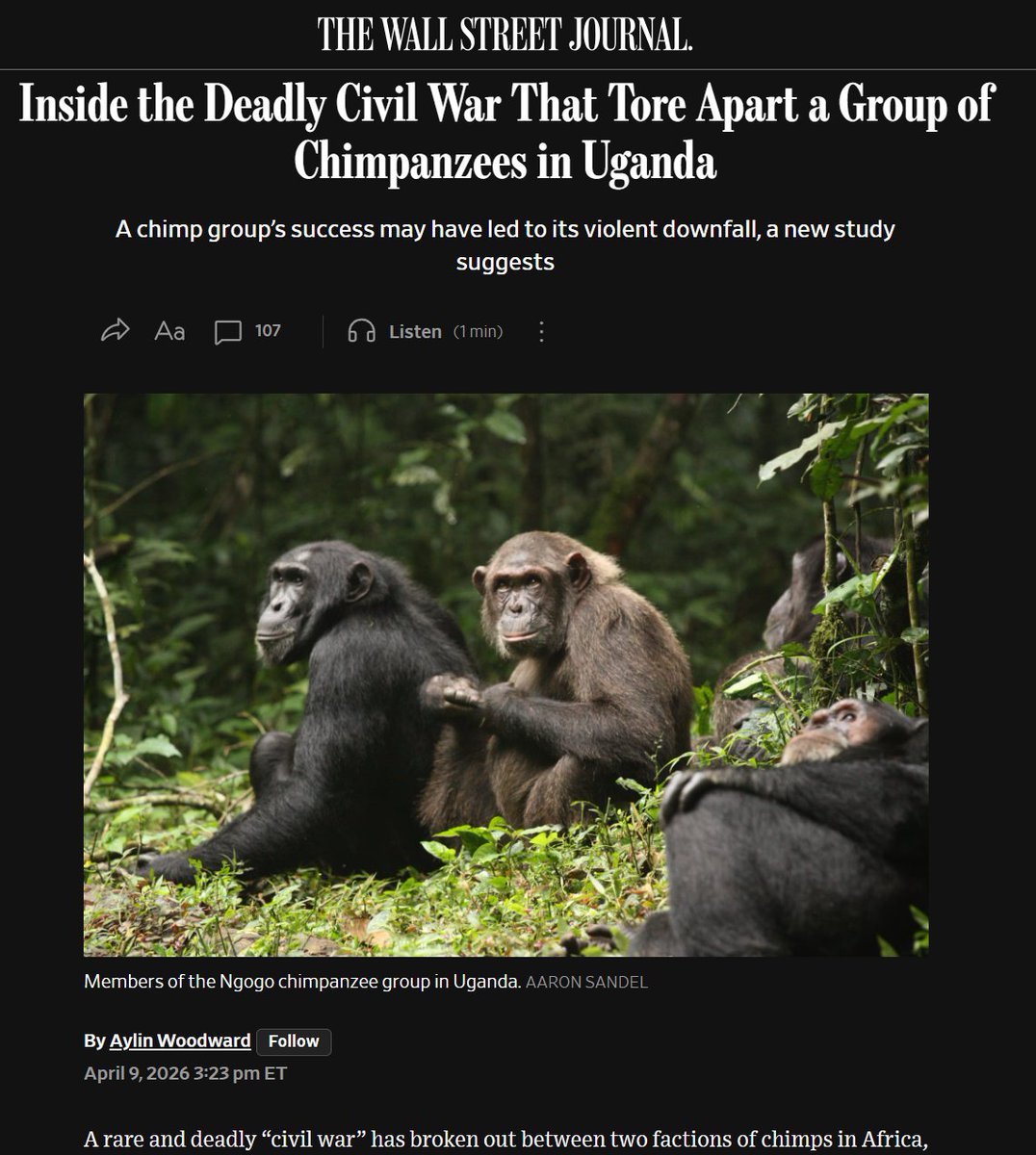 إياد الحمود tweet media