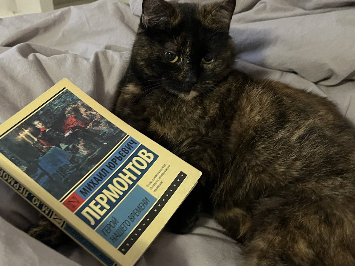 арина tweet media