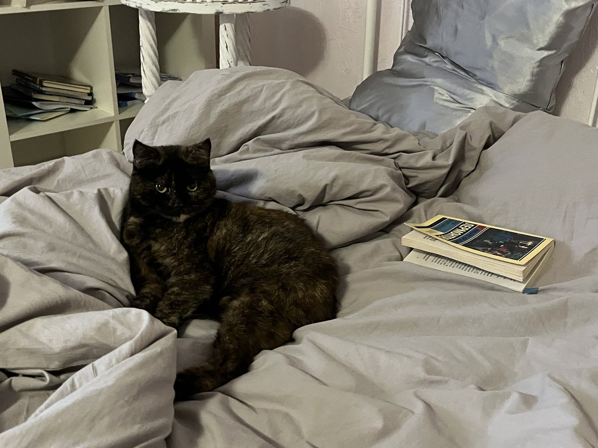 арина tweet media