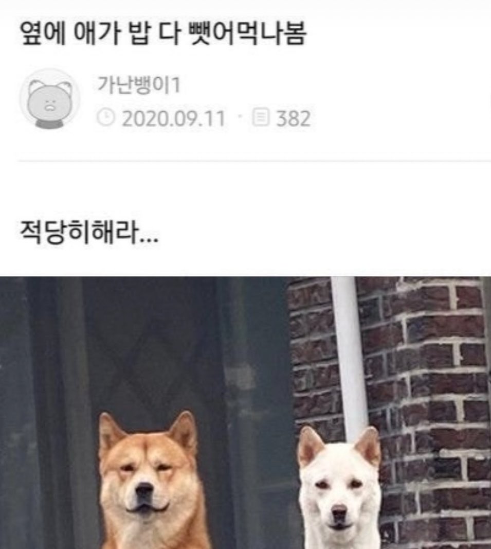 out of context koo tweet media
