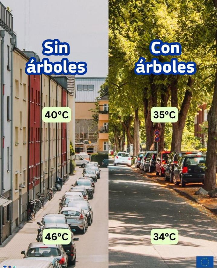 EuropeDirect Córdoba tweet media