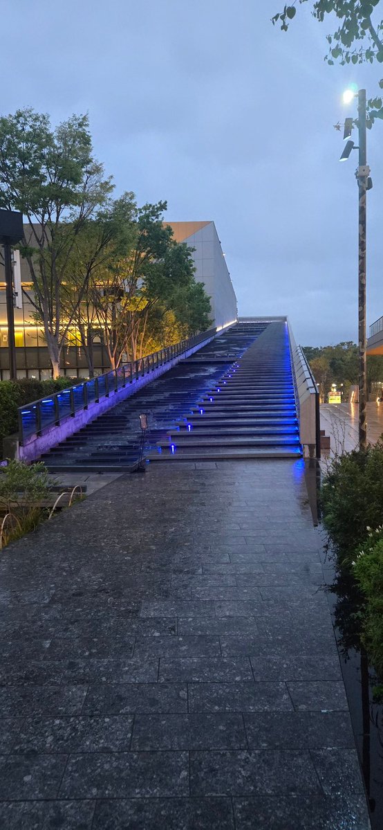 はく(こちらを覗く深淵)🌟🏮 tweet media