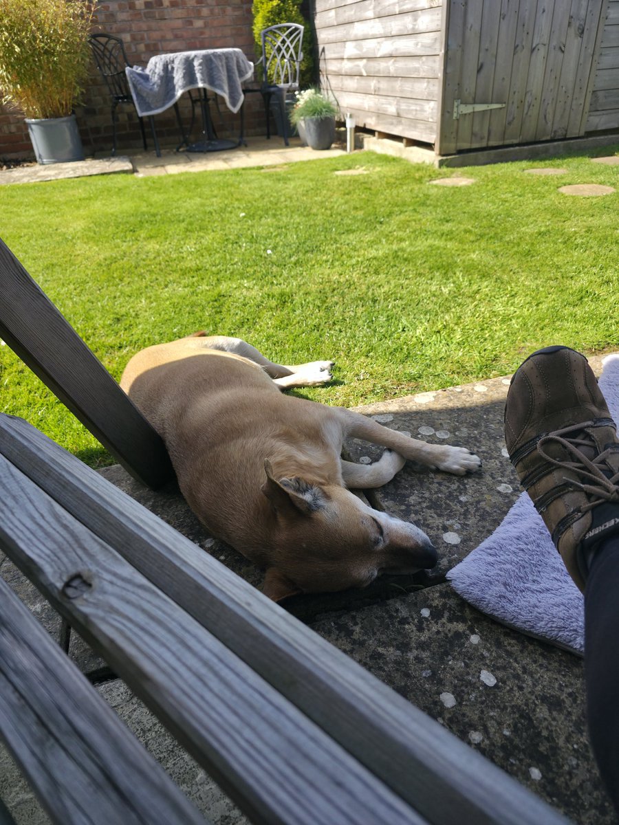 Shaun Cole tweet media