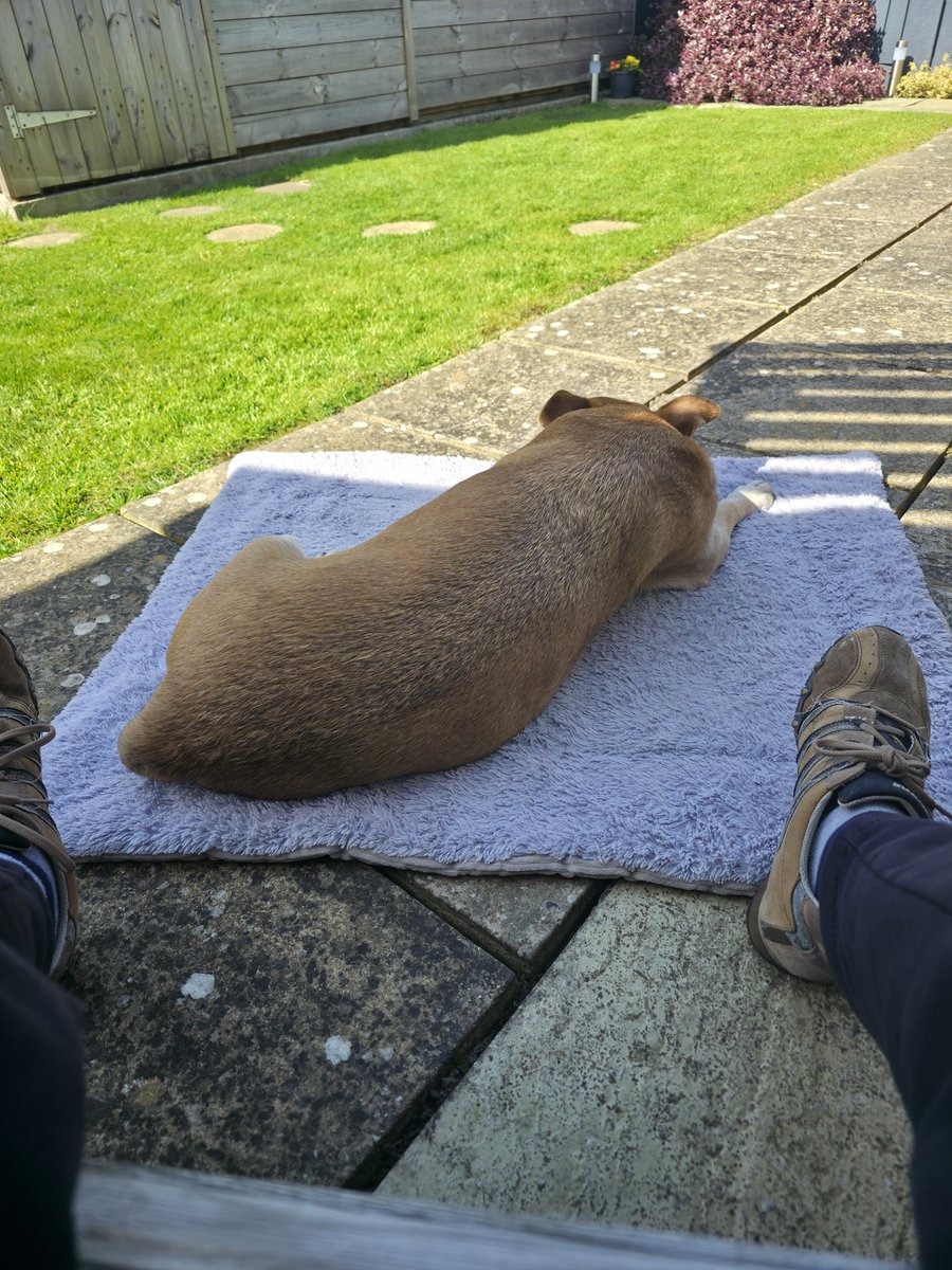 Shaun Cole tweet media