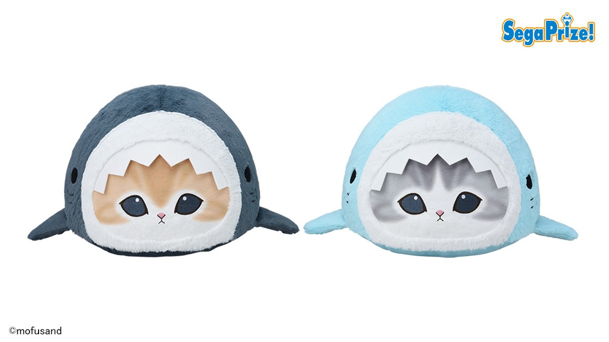 mofusand_kouhou's tweet photo. 【新商品 お知らせ】

「プレミアムドームクッション“サメにゃん”（全2種）」

セガプライズから
「サメにゃん」シリーズの大きなドームクッションが
5月28日(木)より順次登場🎉

▽詳細はこちら
https://t.co/Whj9kf4YoV

#mofusand https://t.co/Byeb6GWrDI