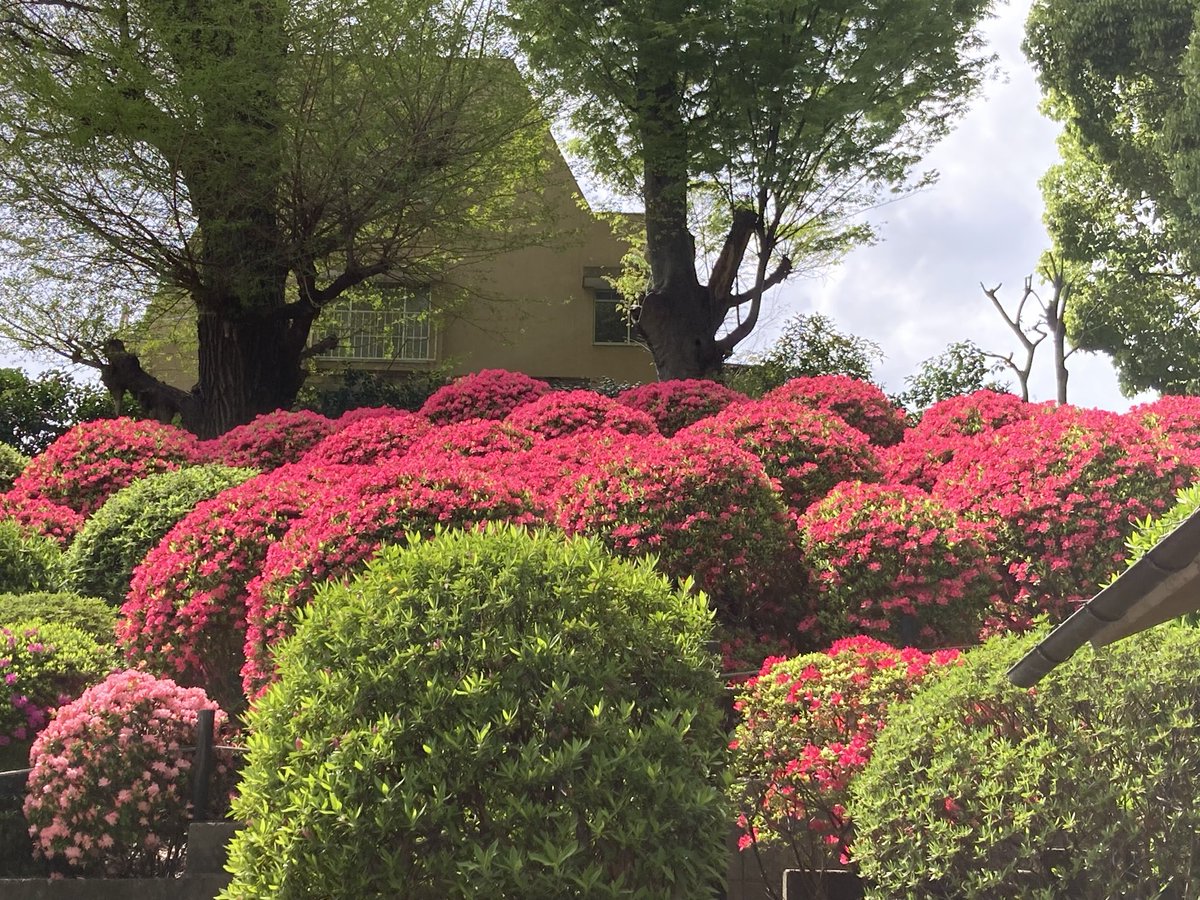 すうじぃ☘️ tweet media