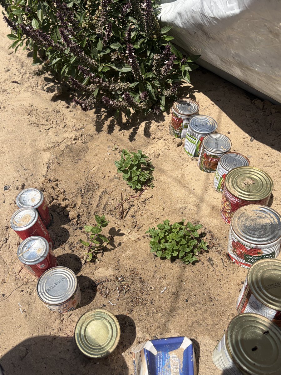 راجيٰ |𓂆 𝗥𝗮𝗷𝗶 tweet media