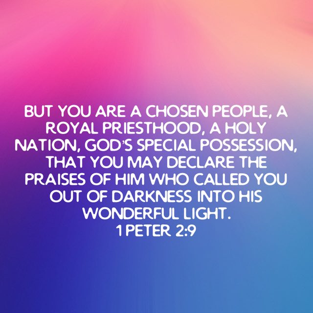 Gina VanDevender tweet media