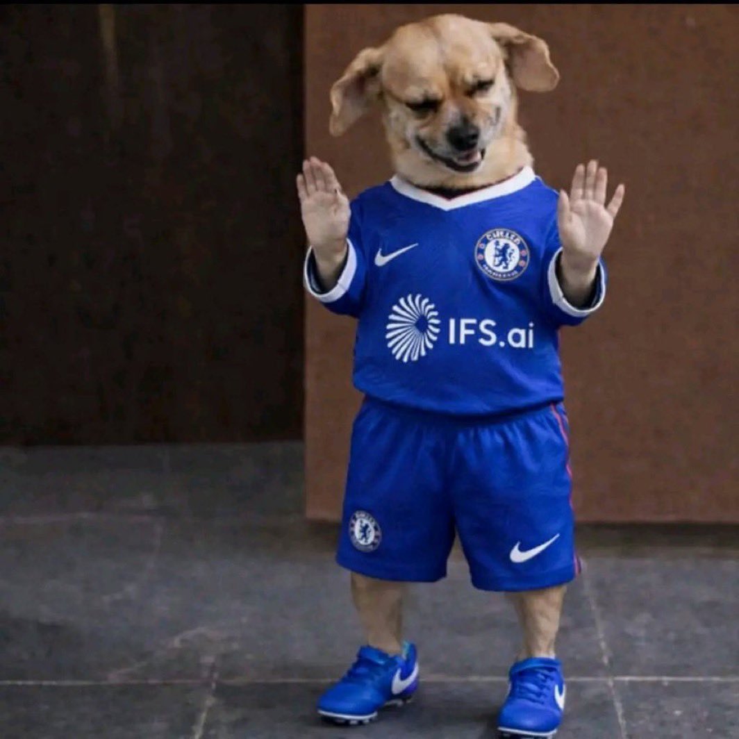 Chelsea Blus tweet media