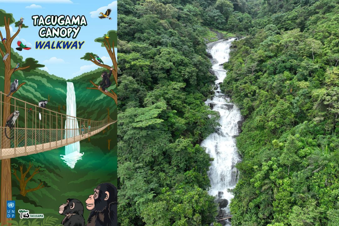 Visit Sierra Leone tweet media