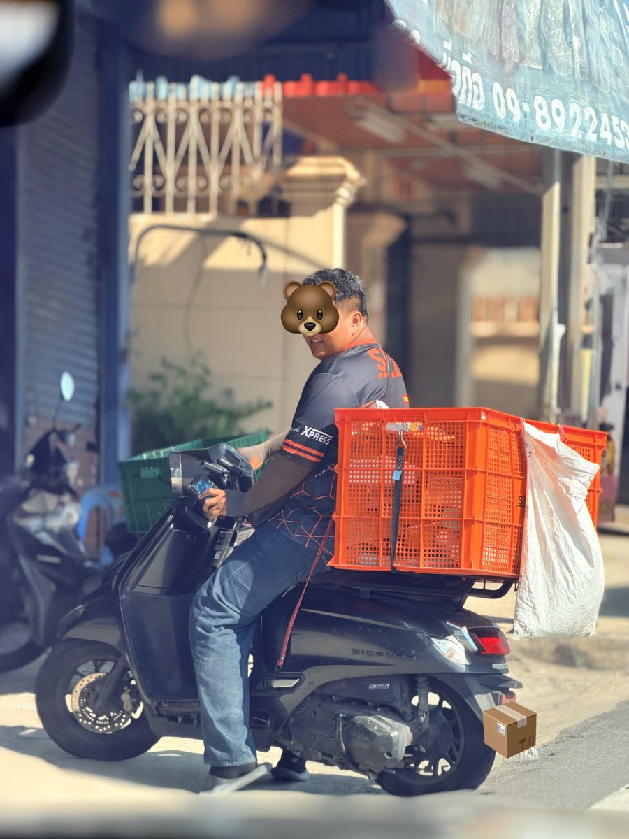 Arm Bear tweet media