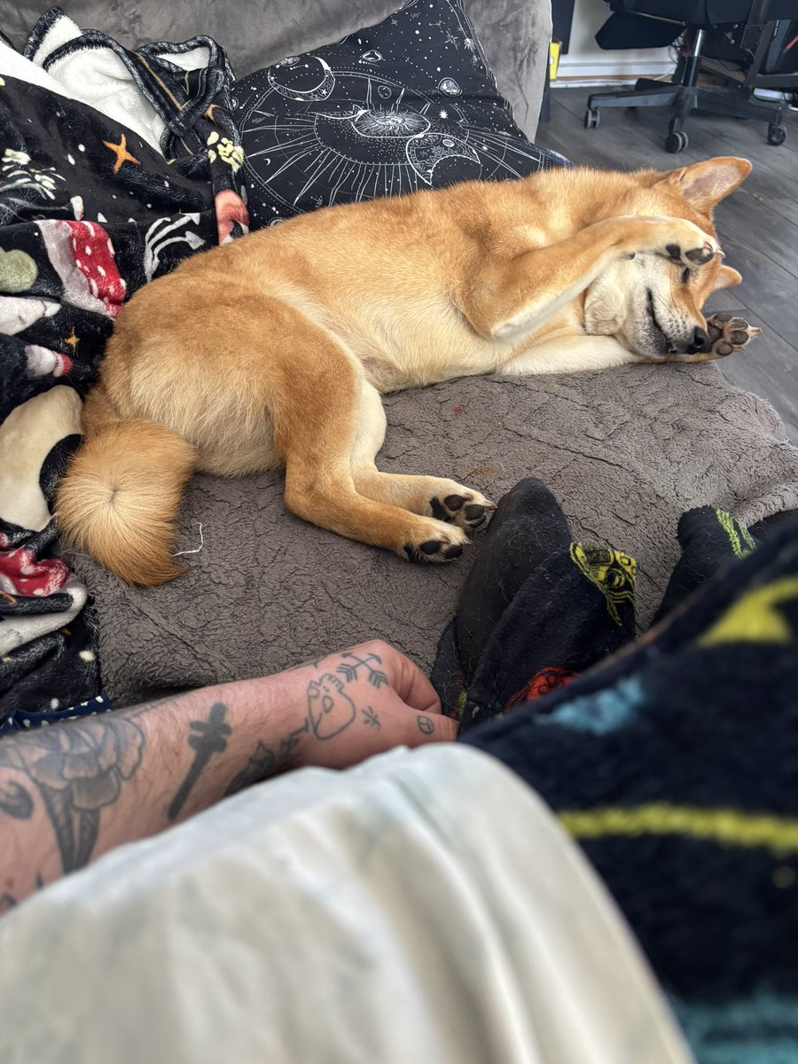 XEEA Oxion tweet media