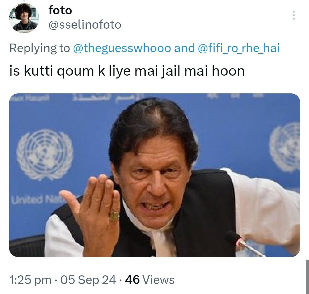 bonky.chonky tweet media