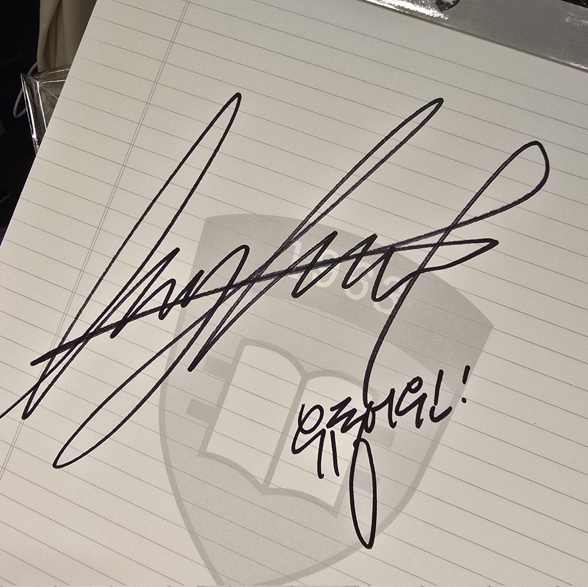 𝗦𝗽𝗼𝘁𝗹𝗶𝗴𝗵𝘁 𝗼𝗻 𝘆𝗼𝘂 tweet media