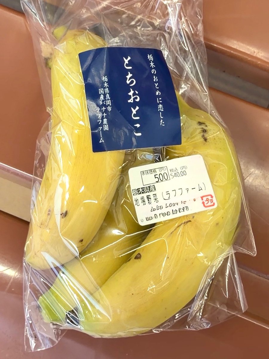 白山たえ 3/20南3ね02a tweet media