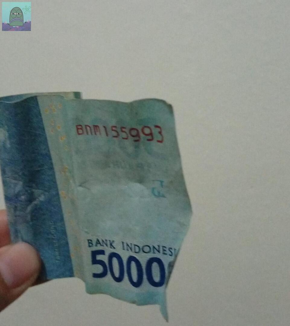 Tanyarl 💚 tweet media