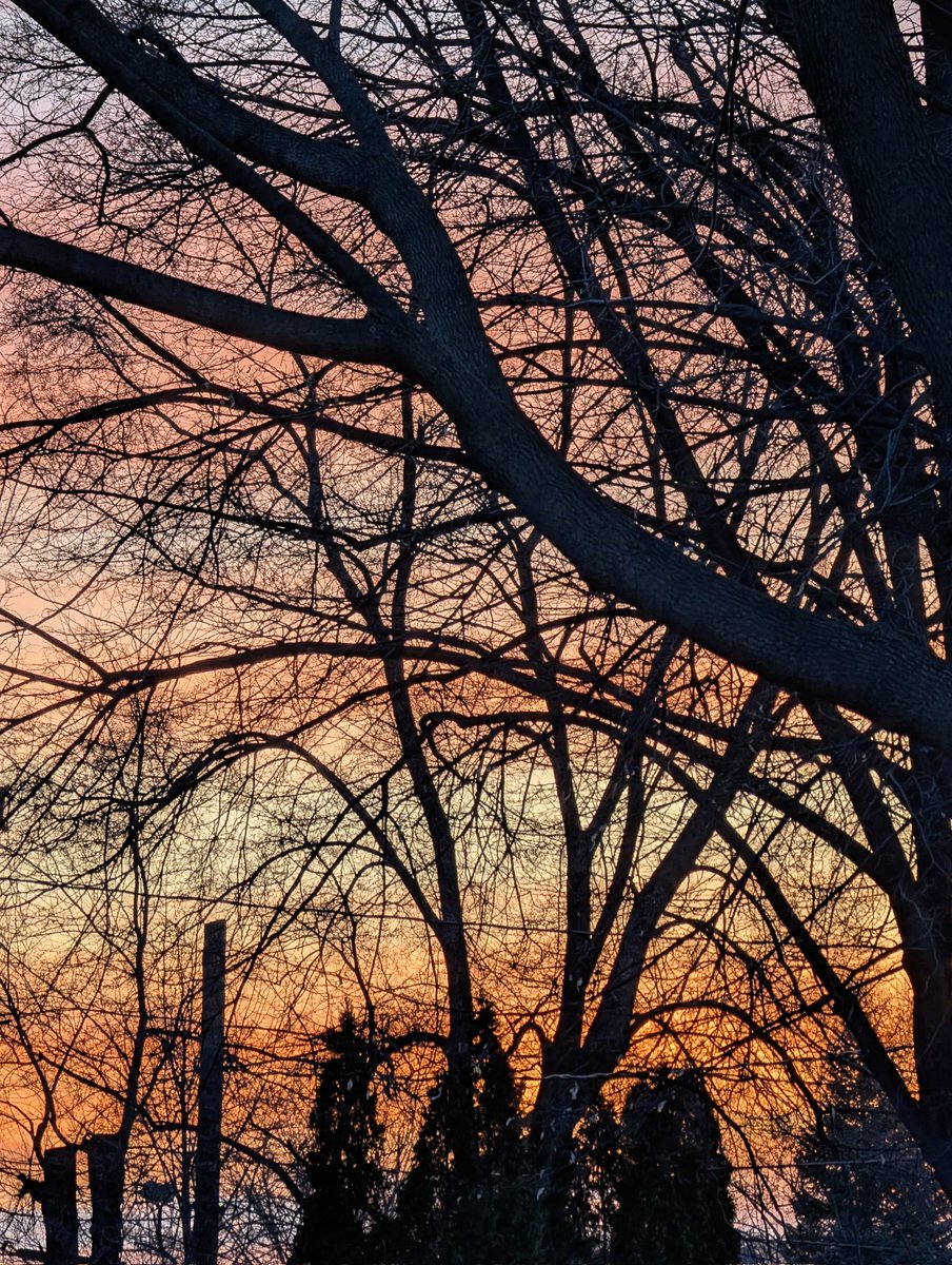 ❉ₛʸₗᵥᵢₑ❉ᴰₑ❉ₘₐᵢₛₒₙₙₑᵤᵥₑ❉ 📷✍️🎹🖍️ tweet media