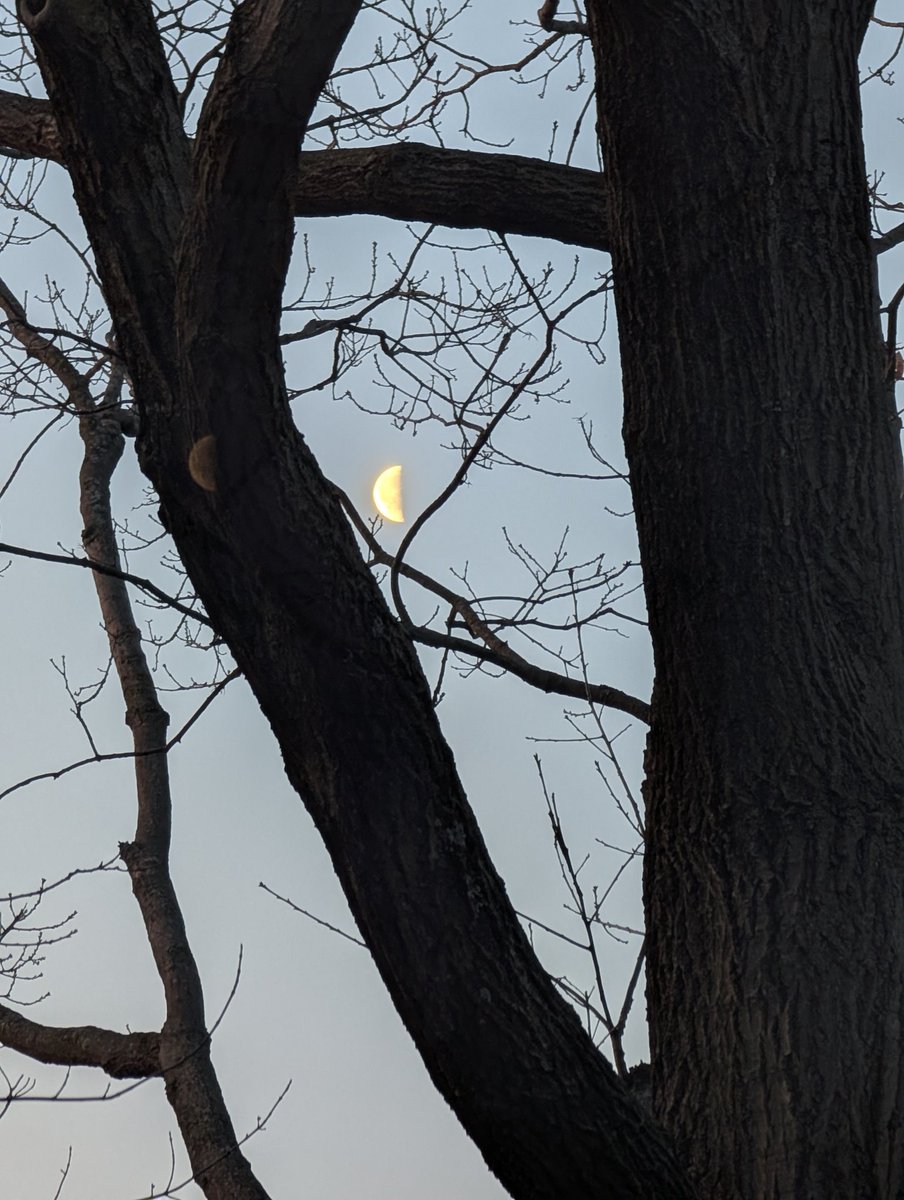 ❉ₛʸₗᵥᵢₑ❉ᴰₑ❉ₘₐᵢₛₒₙₙₑᵤᵥₑ❉ 📷✍️🎹🖍️ tweet media