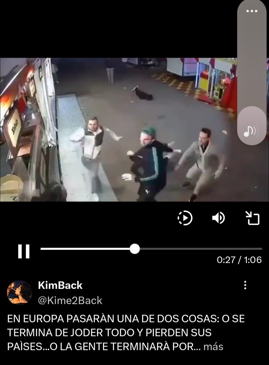 joseluis tweet media