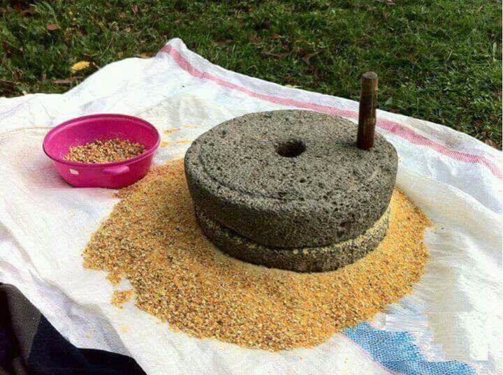 Think & Guess tweet media