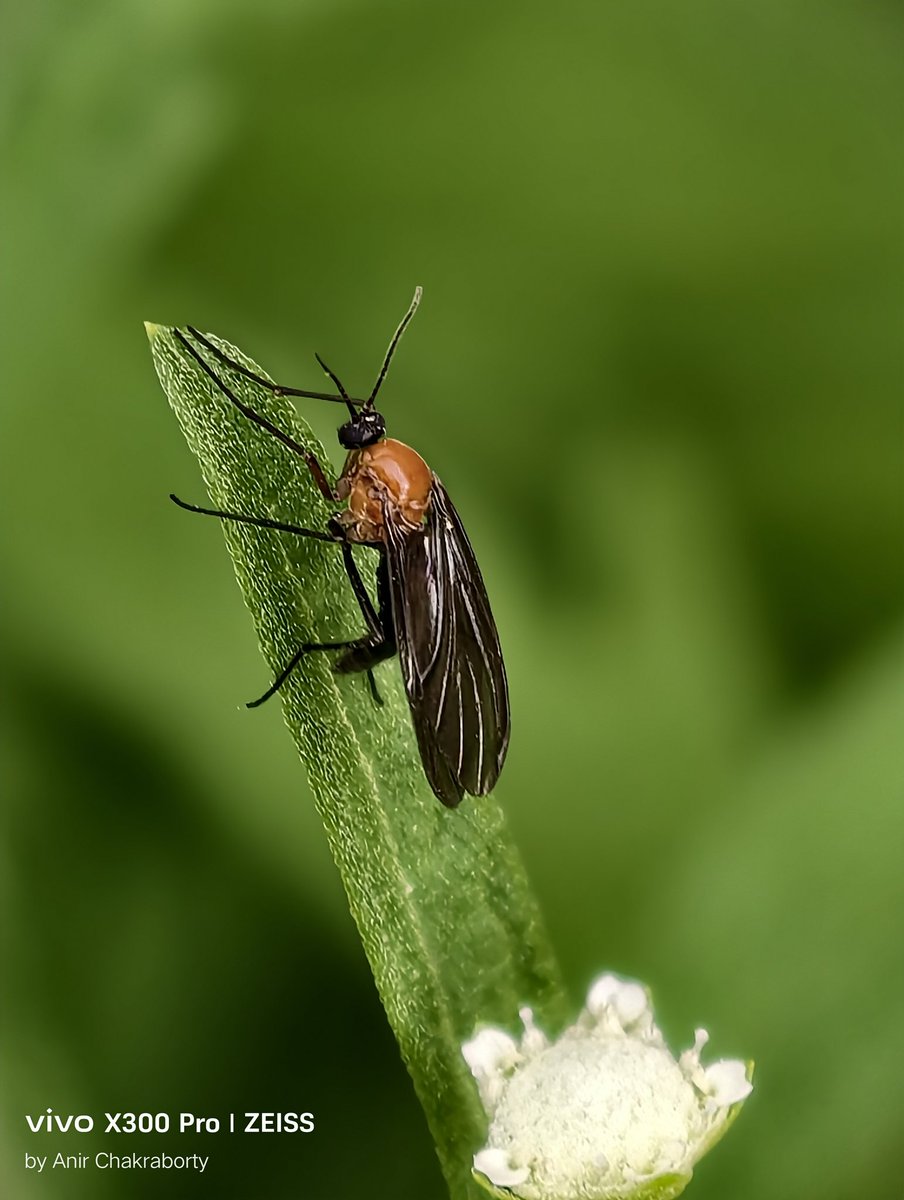 Anir Chakraborty tweet media