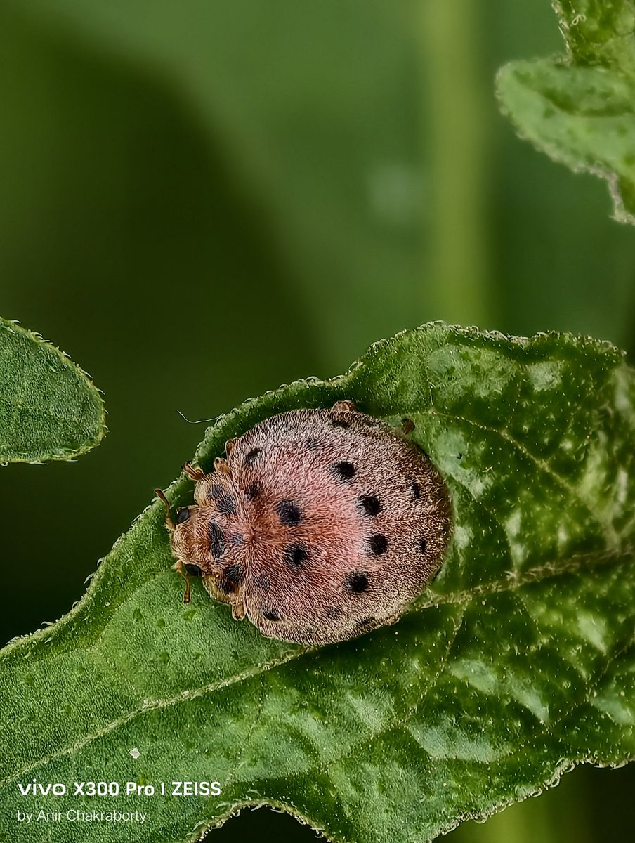 Anir Chakraborty tweet media