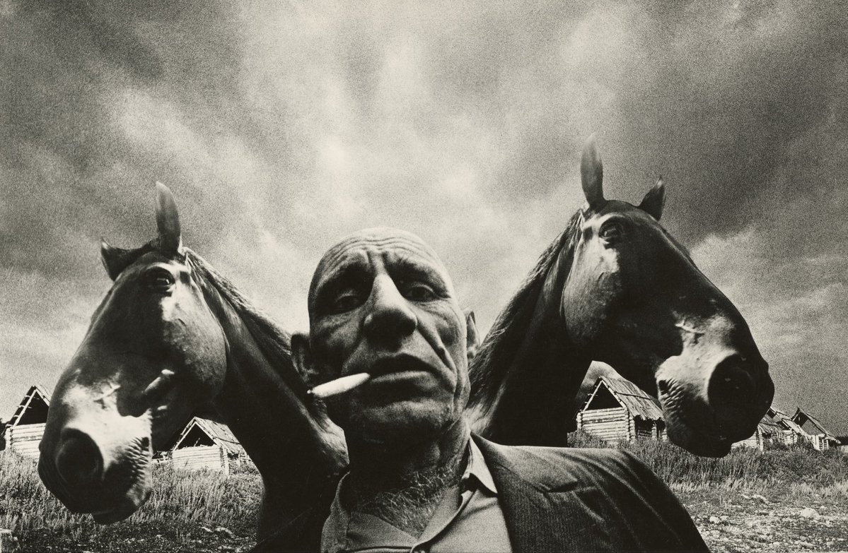 Ukrainian Institute tweet media