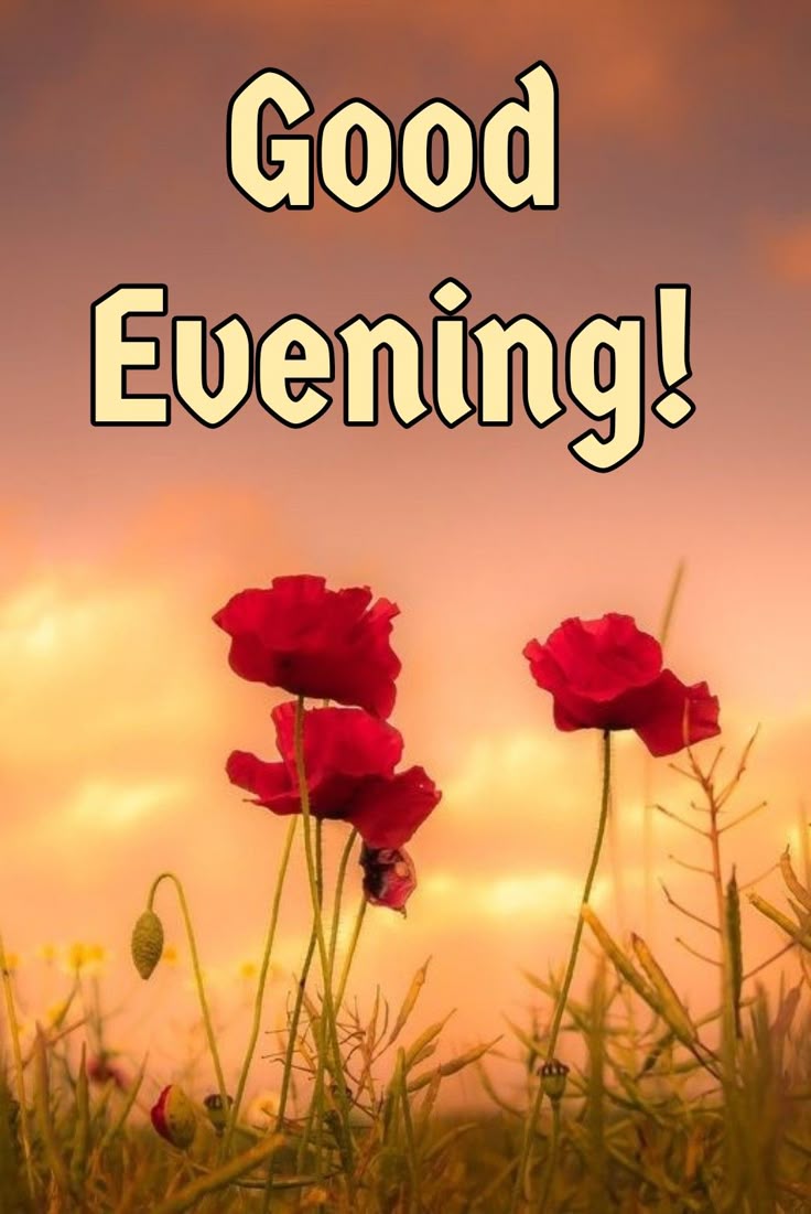 Sawan 🇮🇳 tweet media