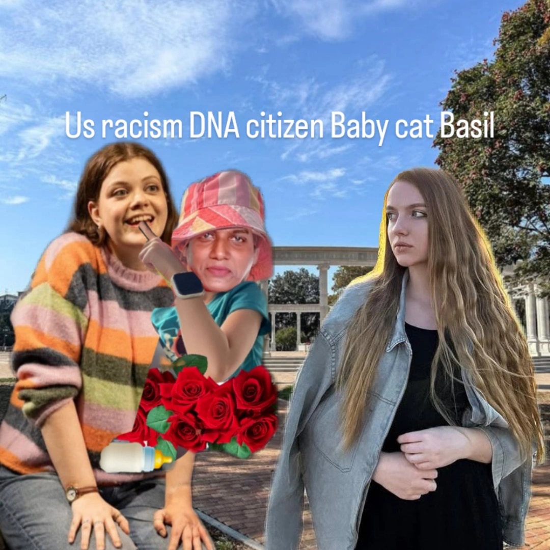 Basil lion alone tweet media