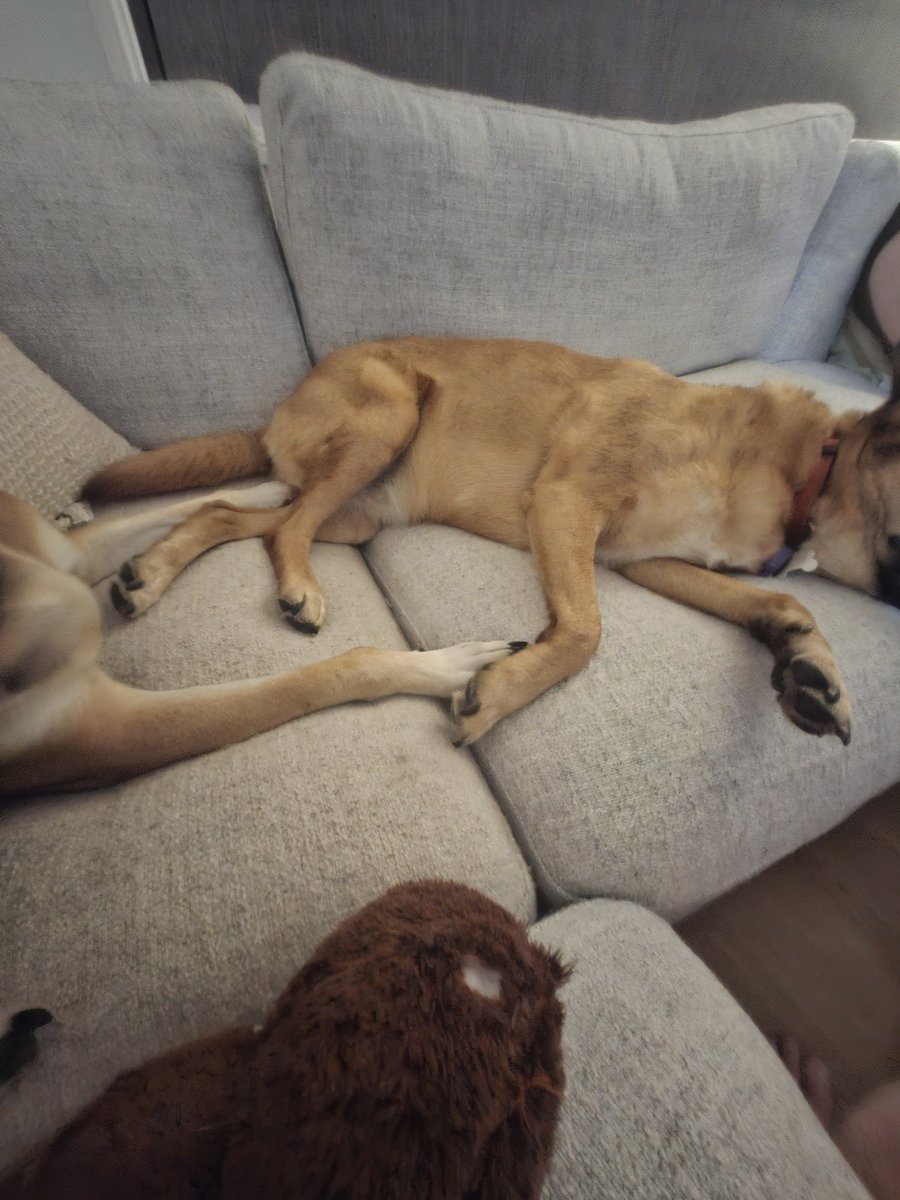 phil withall tweet media