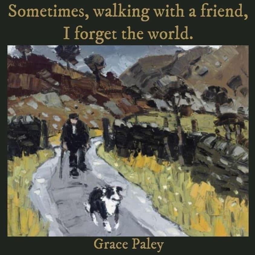 David Hiller tweet media